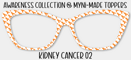 Kidney Cancer 02