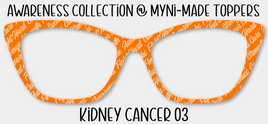 Kidney Cancer 03