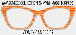 Kidney Cancer 07